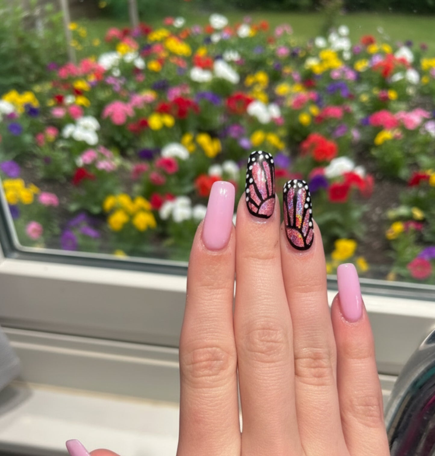 Butterfly Wings