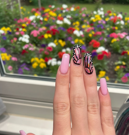 Butterfly Wings